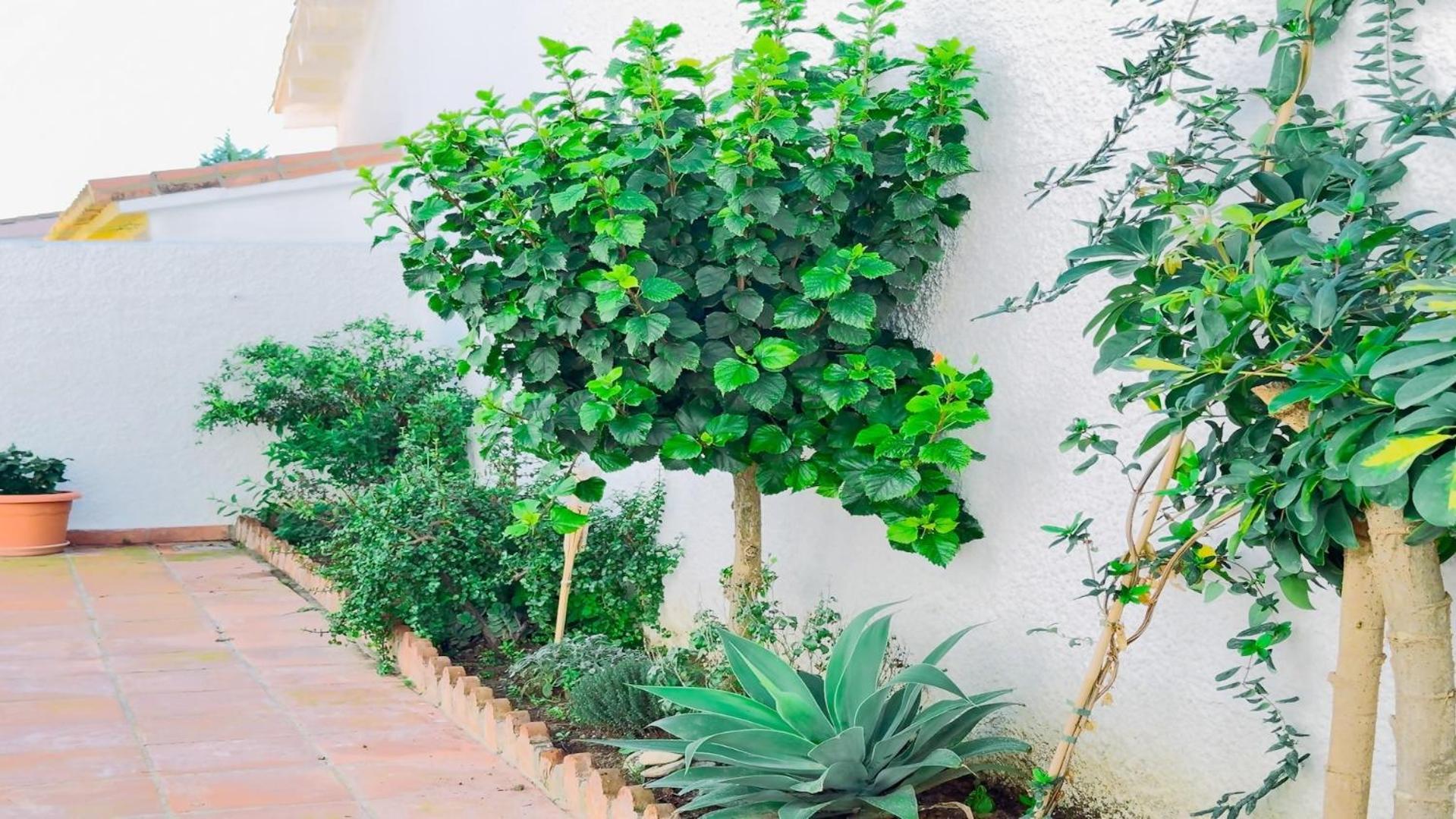Vivienda Con Encanto Goya Nº4 Benalmádena Kültér fotó